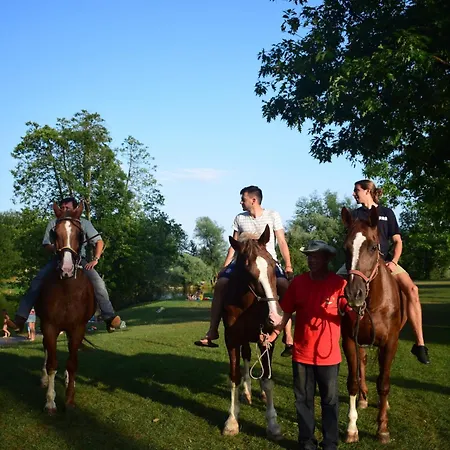 Magnolia House By The River Metlika