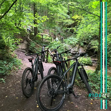 Magnolia House By The River Сasa de vacaciones *