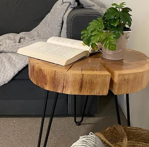 Casa de Férias Magnolia House By The River Metlika