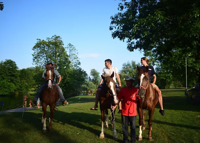 Magnolia House By The River メトリカ