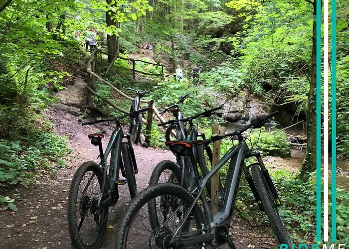 Magnolia House By The River 別荘 *