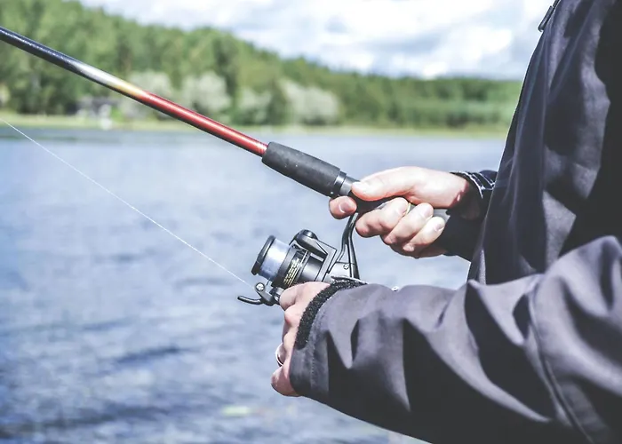 Casa de Férias Magnolia House By The River